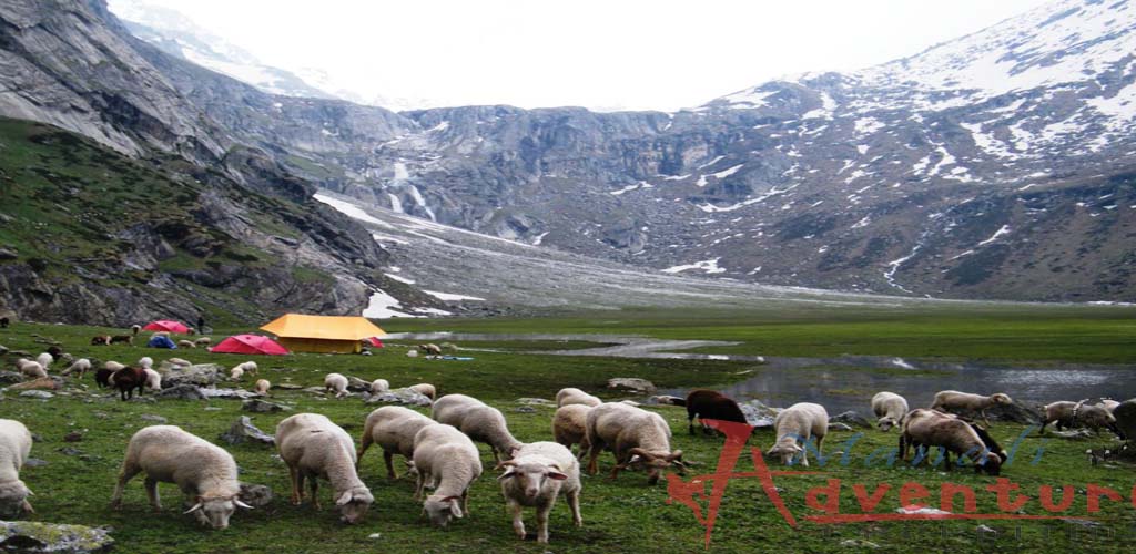 ladakh-camp